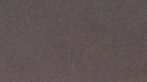 Oficiales de policía buscan controlar la situación luego que aficionados del Saint-Etienne invadieran el campo y agredieran a sus jugadores tras concretarse el descenso a la Ligue 2 de Francia.