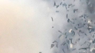 Jugadores del Atlas celebran el bicampeonato de la Liga MX conseguido este domingo al vencer en la eliminatoria 2-3 al Pachuca.