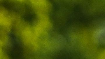 Irma García tiroteo Uvalde