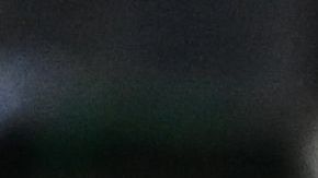 Djokovic se rindio a los pies de Rafael Nadal