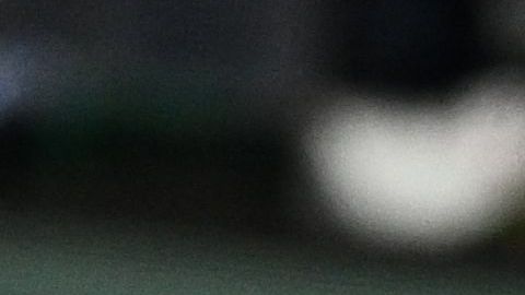 Djokovic se rindio a los pies de Rafael Nadal