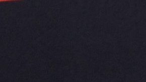 Madison Beer comenzó su carrera musical muy joven