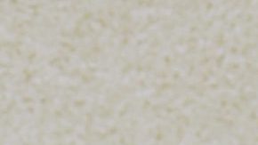 Natti Natasha y Raphy Pina