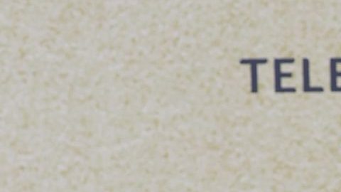 Natti Natasha y Raphy Pina