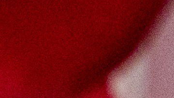 Texas Governor Abbott Campaigns For Reelection In Houston