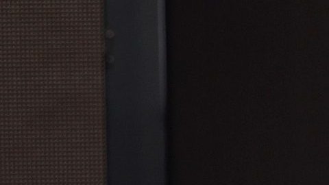 Paulina Rubio no pasó el Día de las Madres junto a Susana Dosamantes