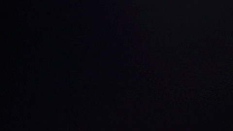 El expresidente Trump debe pagar $10,000 dólares por cada día que no cumpla orden de juez.
