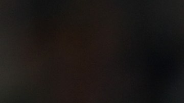 El niño estuvo acompañado por su compatriota Oleksandr Zinchenko.