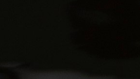 Los policías se dieron cuenta de que las aguas estaban repletas de caimanes.