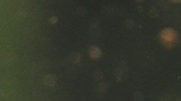 Sonny León y su caballo Rich Strike fueron los ganadores del Kentucky Derby 2022.