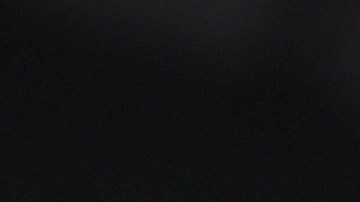 Gleyber Torres celebra en el dogout de los Yankees tras poner a ganar a los Mulos con el HR