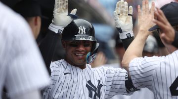 Gleyber Torres celebra en el dogout de los Yankees tras poner a ganar a los Mulos con el HR
