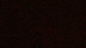 Bryce Harper lideró en promedio esta semana a las Grandes Ligas con un escandaloso .609.