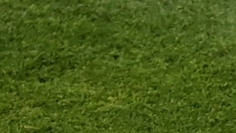 El centrocampista del Frankfurt Sebastian Rode intentaba despejar un balón con la cabeza.