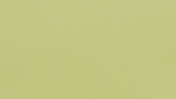 Tiger Woods se retiró del Campeonato de la PGA