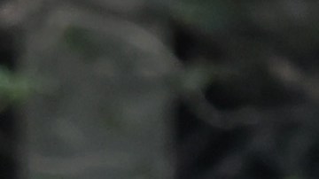 (Photo by Michael M. Santiago/Getty Images)