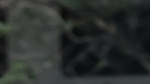 (Photo by Michael M. Santiago/Getty Images)