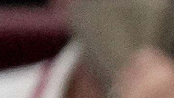 Celtics levanta el trofeo que los acredita campeones del Este de la NBA.