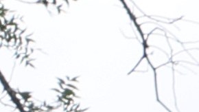 La gente visita un monumento a los 19 niños y dos adultos asesinados el 24 de mayo durante un tiroteo masivo en la Escuela Primaria Robb.