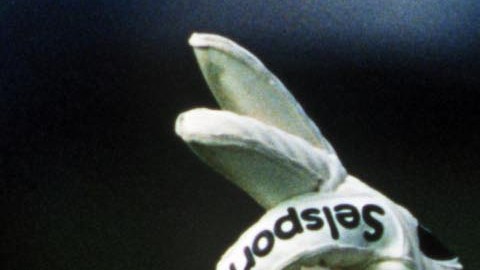 Andy Goram se negó a someterse a tratamiento de quimioterapia.