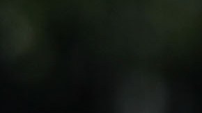 La histórica batería llegó a 203 victorias en las Grandes Ligas.