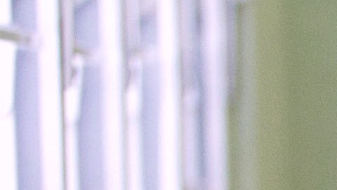 Estudiantes Republica Dominicana