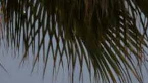 MEXICO-US-MUSIC-OWENS