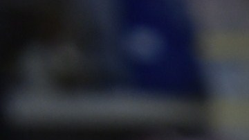 La especie fue nombrada "Proctoporus optimus', en referencia al popular líder Autobot Optimus Prime