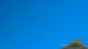 Johnny Depp y Amber Heard juntos en Australia durante 2016.