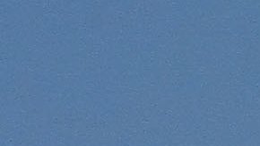 Yankees inician campaña contra las armas