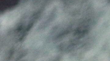 Fueron descubiertos los restos de un ictiosaurio.