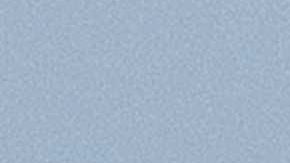 Video: Ballena salta y cae sobre yate con turistas en Sinaloa, México