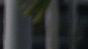 Tiroteo Florida.