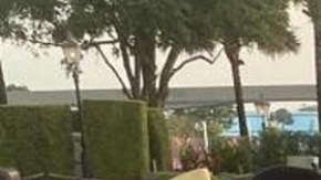 Raúl González junto a su sobrino Gio y su madre Estrella conduciendo en Disney World