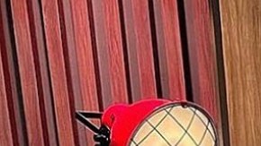 Ana Patricia y Rafael Araneda