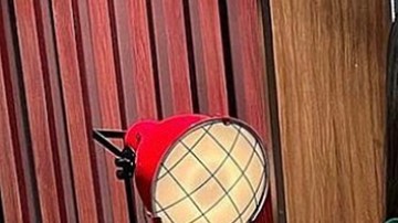 Ana Patricia y Rafael Araneda