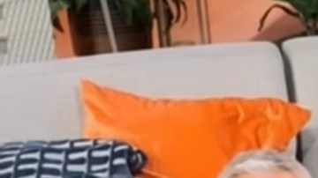 Jorge Ramos y Jessica Rodríguez le pide así a Bad Bunny una entrevista