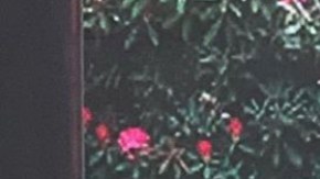 Francisca Méndez-Zampogna