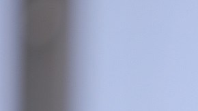 Pumas UNAM v Pachuca - Torneo Grita Mexico C22 Liga MX