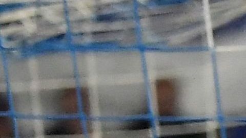 Entorno de Kylian Mbappé se reunirá con el Real Madrid la próxima semana