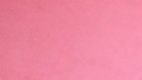 La RFEF rechazó las acusaciones contra su presidente Luis Rubiales