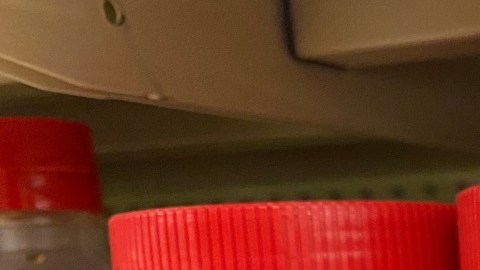 Mantequilla de maní Jif