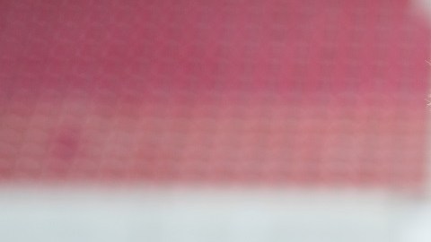 VfB Stuttgart Team Presentation