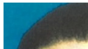 Mia Maro, adolescente de 17 anos asesinada por su padre (1)