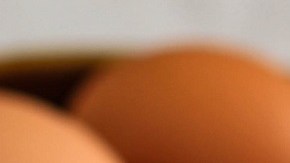 Pan de harina refinada