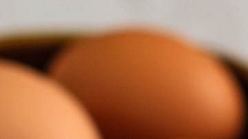 Pan de harina refinada