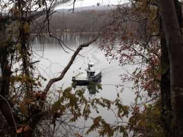 Budget Cuts May Strand Riders Of Connecticut's Ferry System