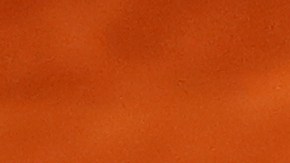 Rafael Nadal volvió a entrenar y competirá en el Roland Garros