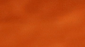 Rafael Nadal volvió a entrenar y competirá en el Roland Garros