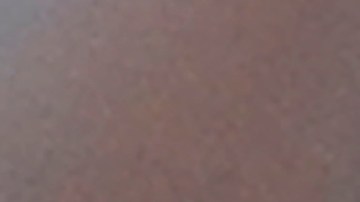 Tim Anderson perreó a los Yankees tras la polémica con Josh Donaldson